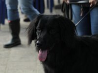 IMG 8426