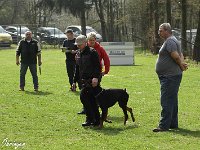 IMG 3230