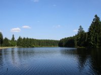 IMG 7655