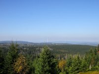 IMG 7774