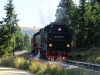 IMG 7793