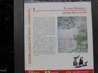 IMG 7424