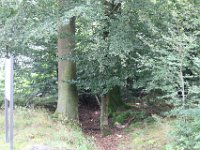 IMG 7428