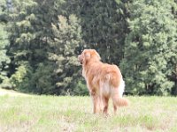 IMG 7432