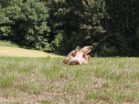 IMG 7435