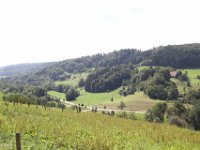 IMG 7463