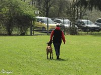 IMG 3260