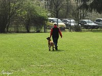 IMG 3266