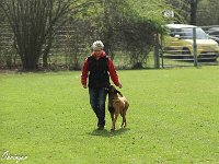 IMG 3268