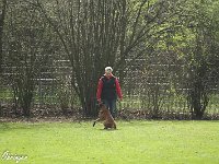 IMG 3275