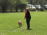 IMG 3293