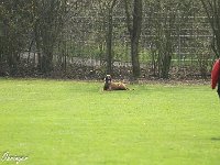 IMG 3296