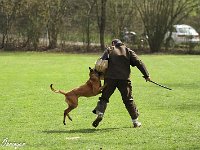 IMG 3577