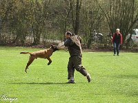 IMG 3596