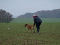 IMG 8842