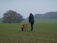IMG 8843