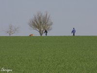 IMG 2366