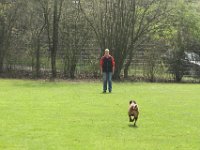 IMG 3310