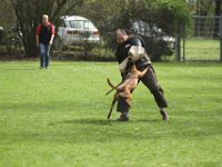 IMG 3662