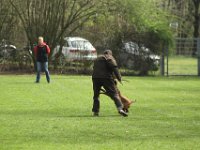 IMG 3666