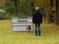 IMG 9034