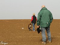 IMG 3179