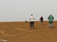 IMG 3183