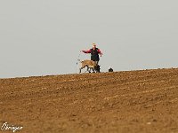 IMG 3190