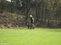 IMG 3488