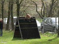 IMG 3551