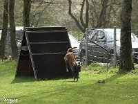 IMG 3552