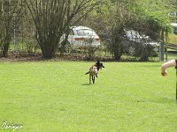 IMG 3561