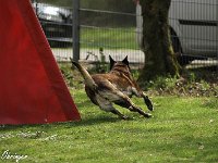 IMG 3833