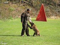 IMG 3895