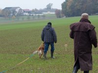 IMG 8872