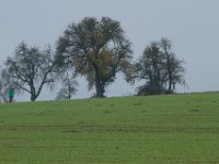 IMG 8881