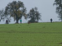 IMG 8882