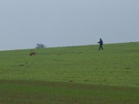 IMG 8883