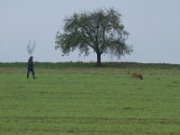 IMG 8886