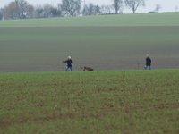 IMG 8866