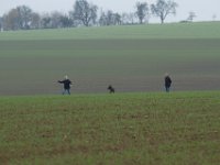 IMG 8867
