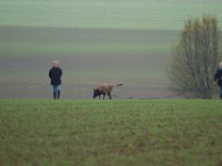 IMG 8869