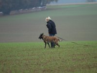 IMG 8871