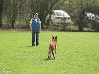 IMG 3496