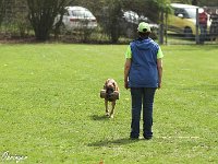 IMG 3506