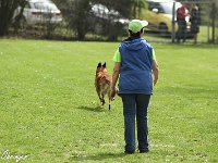 IMG 3525