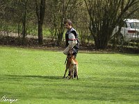 IMG 3937