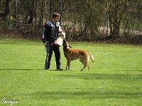 IMG 3951