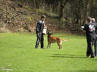 IMG 3968