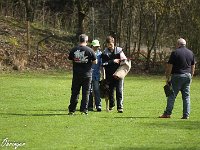 IMG 3972